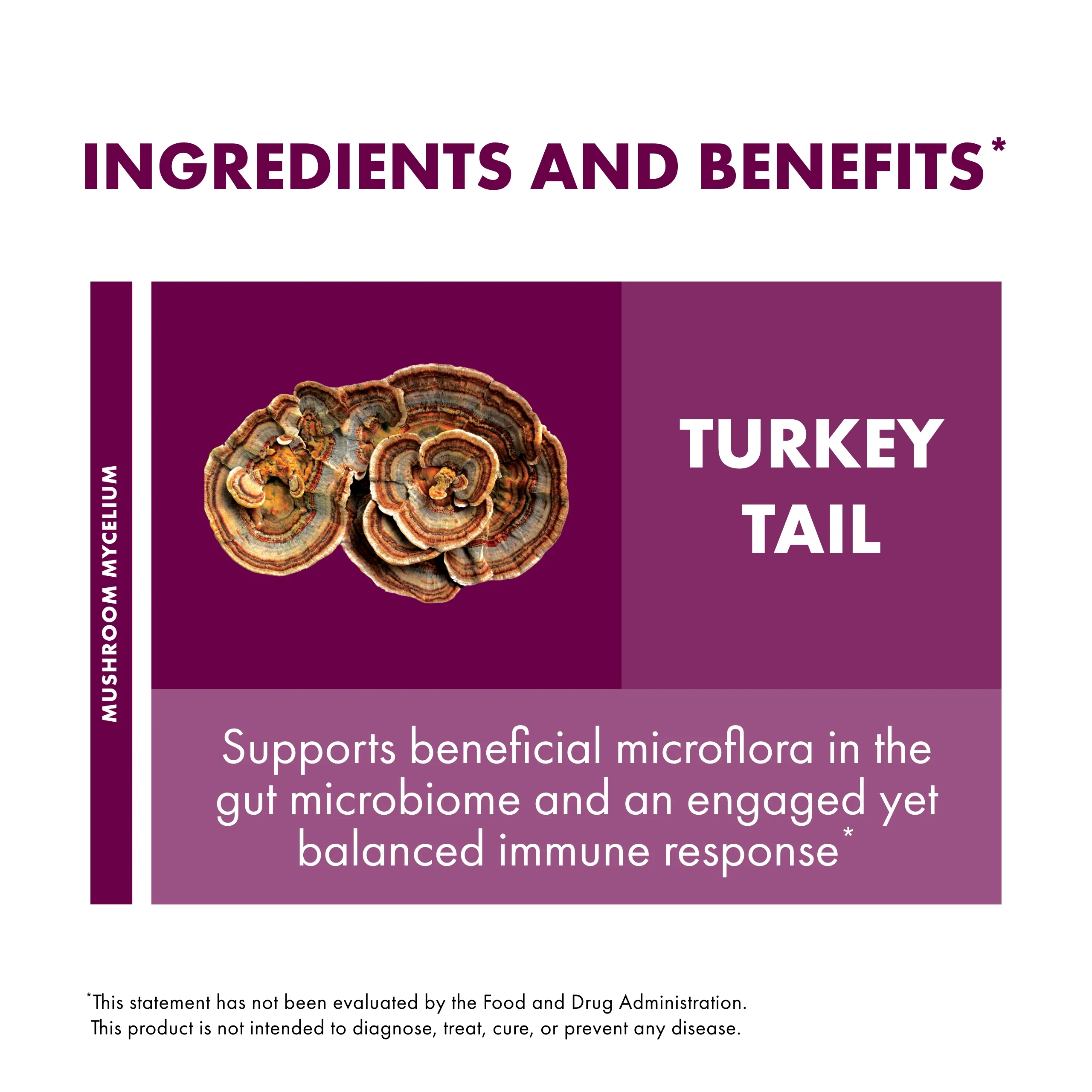 Host Defense, Turkey Tail Capsules, Natural Immune System and Digestive Support, Mushroom Supplement, Unflavored, 60 - Image 3