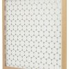 Flanders PrecisionAire 10155.01202 E-Z Flow Air Filter MERV 4 20 x 20 x 1-Inch 12-Pack