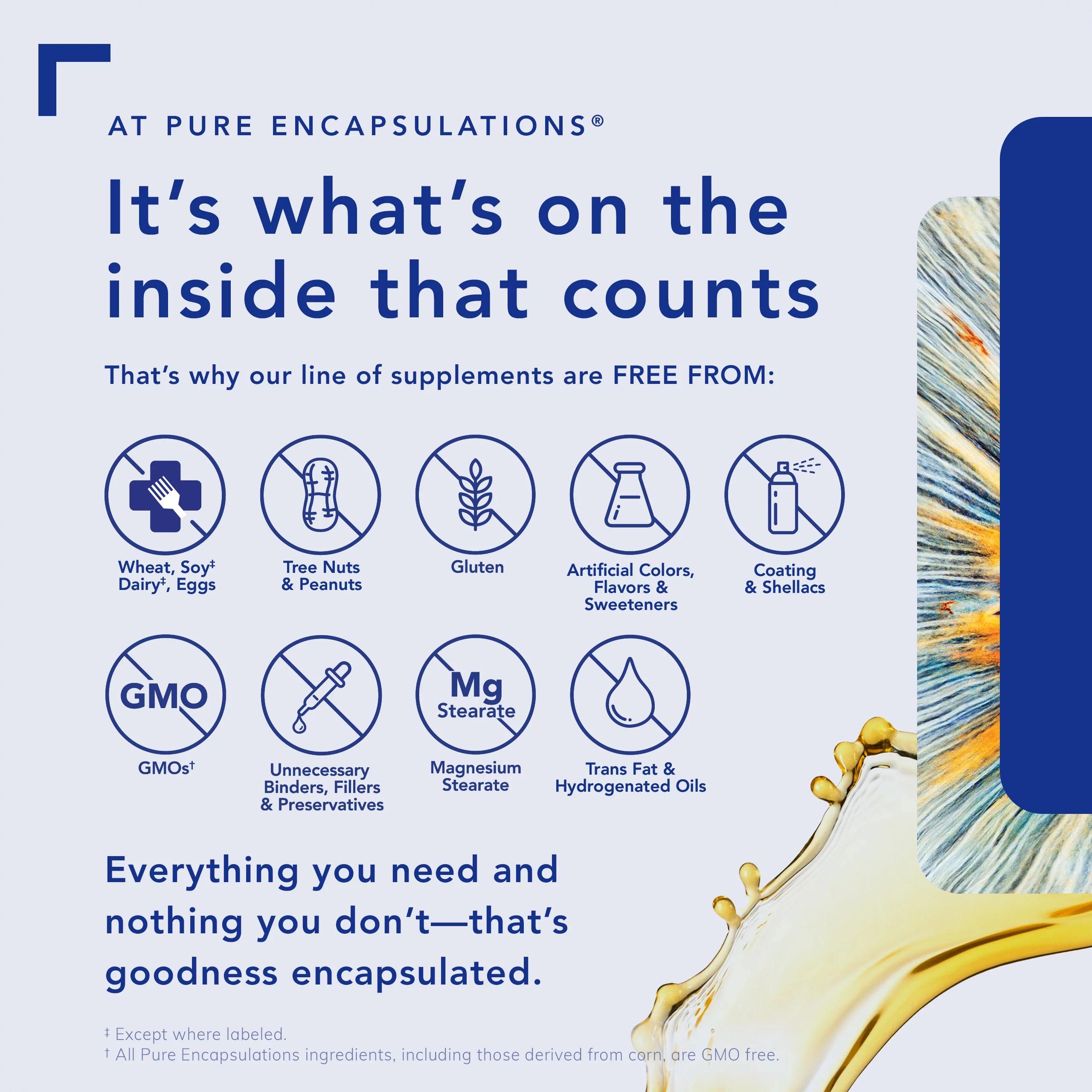 Pure Encapsulations Women’s Pure Pack | Supplement to Support Bone, Cardiovascular, Macular, and Breast Health* | 30 Packets - Image 4